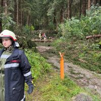 Bild 02